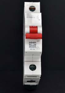 Bargains: Main Switch NHP 100 Amp 1P