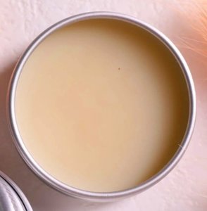 Products: 969 Tallow Ointment - Kiwi Sun and Sea