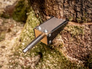 Helmet Accessories: ECOVAL Bast-Ing spindle wedge 12T