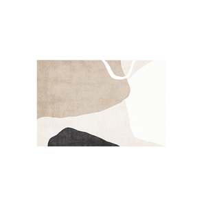 Modern Abstract Non-Shedding Area Rug Mundane 200X300CM