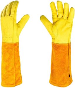 Garden Tools: Thorn Proof Long Garden Gloves M -Yellow
