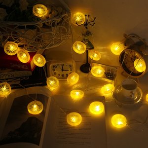 Clearance: 20 LED Battery Powered Lemon String Decor Light Yellow