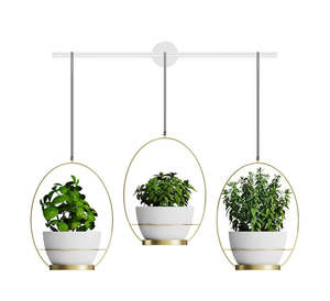 3 Pot Wall Hanging Planters Kitchen Herb Rack-White