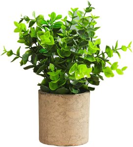Mini Potted Artificial Plastic Green Plants-Luohan