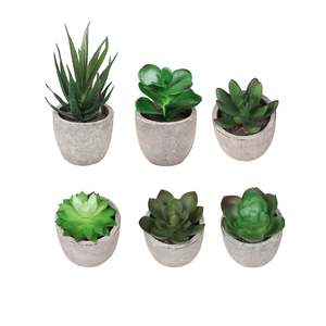 Home Decor: 6PCS Artificial Potted Succulent Plants