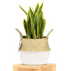 Woven Seagrass Flower Baskets Garden Flower Pot XL