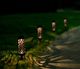 6 Pcs Solar Powered LED Garden Lights