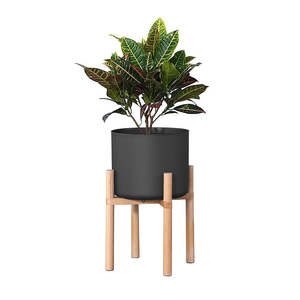 Modern Flower Pot with Display Potted Rack-Black