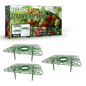 3Pcs Plastic Strawberry Supports Frame Growing Rack