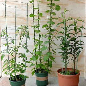 2 Pack Plant Support Frame Plant Trellis Climbing-75CM