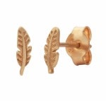 Products: Rose Gold Fern Studs