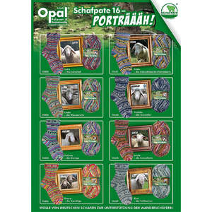 Sock Yarns: Opal Schafpate 16 4ply