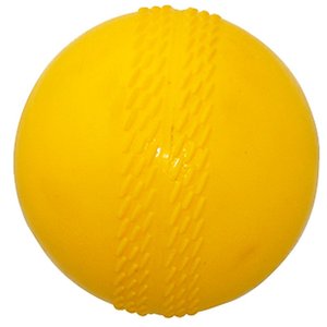 Plastic Cricket Ball
