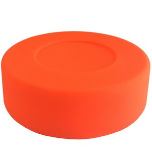 Playground Hockey Puck