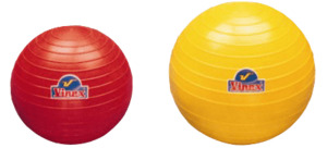 Products: Vinex PVC Shotput