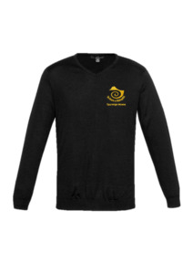 Products: Men’s Pullover