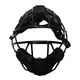 Softball Mask