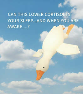 Agajod Creative Kids Corner: The Goose Guardian - Wrap yourself up, when touch means care, and you have time to yourself.
