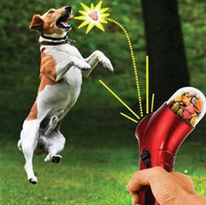 Fun times with your pet...this toy...the best...