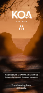 All Visible: DL Brochures - pack of 20