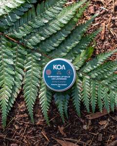 Presenter Kawakawa: Kawakawa Lip Balm