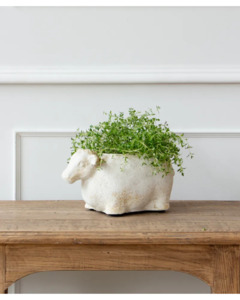 French Country - Sheep Flower Pot