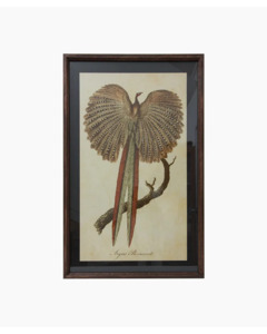 Living Room: French Country - Pheasant Wall Art