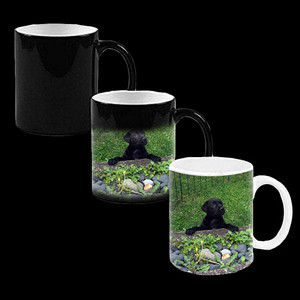 Products: Magic Mug Vision Photos