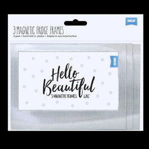 Products: Shot2Go Silver Magnetic Fridge Frames (6x4) - 3 Pk Vision Photos