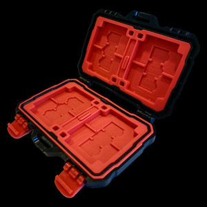 Products: Pronto Memory Card Holder Vision Photos