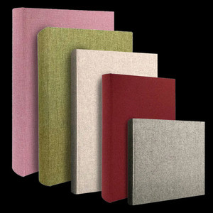 Products: Plush Slip-In Album Vision Photos