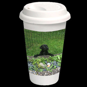 Products: Travel Mug Vision Photos