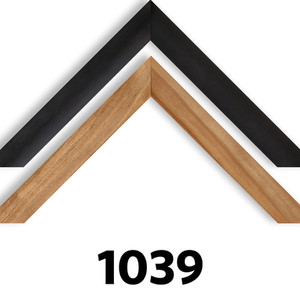 Products: 1039 Custom Framing Vision Photos