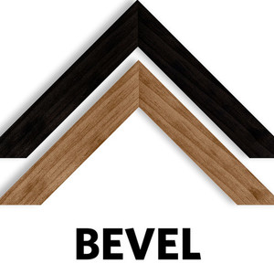 Products: Bevel Custom Framing Vision Photos