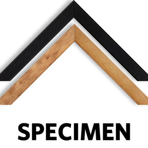 Products: Specimen Custom Framing Vision Photos
