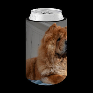 Products: Stubby Wrap Vision Photos