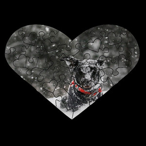 Products: Wooden Heart Jigsaw Puzzle Vision Photos