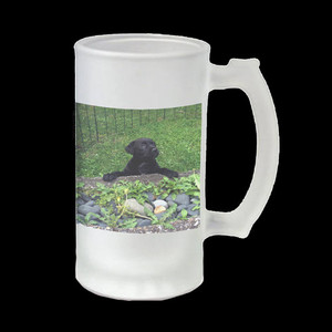 Products: Frosted Glass Beer Stein Vision Photos