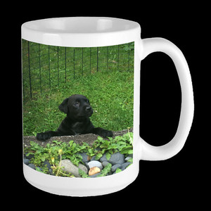 Products: Large Mug Vision Photos