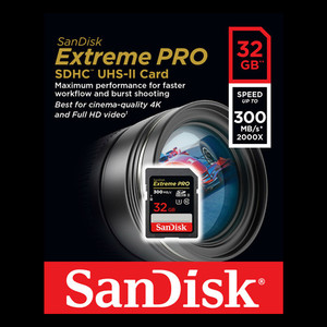 Products: SanDisk Extreme PRO 300mb/s SD Card Vision Photos