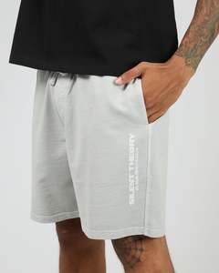 New Arrivals Mens: Essential Theory Shorts V2 / Grey | Silent Theory Mens