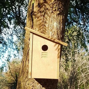 Kohab Sparrow Birdhouse Wooden Nesting Box NZ - Kohab