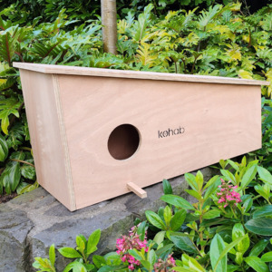 Products: Kohab Ruru Birdhouse Nesting Box for NZ Morepork (Ruru) - Kohab