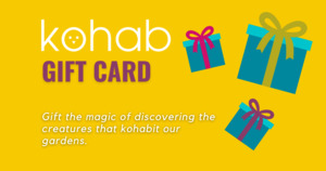 Products: Kohab Gift Voucher - Kohab