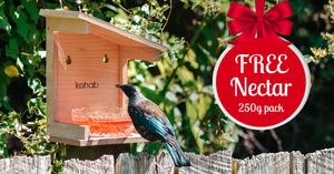 Kohab Tui Feeder & FREE Nectar Pack NZ Bird Gift Idea - Kohab