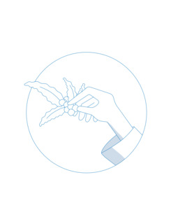 I'm Into Singles - Rolling Subscription