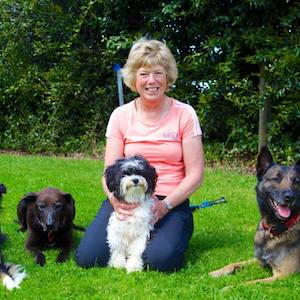 About us Kool K9 Dog Training