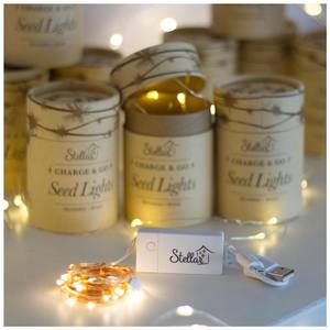 Charge & Go Seed Lights – Copper (3m)