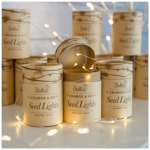 Charge & Go Seed Lights – Silver (3m)