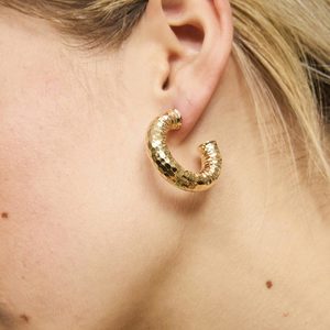 Tiger Tree: Zoe Gold Hoop Earrings